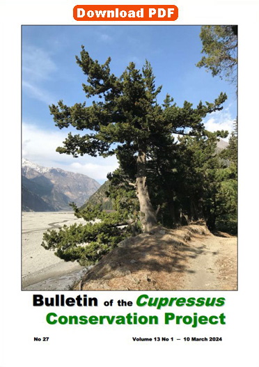 Bull. CCP, Vol. 13, No 1.
